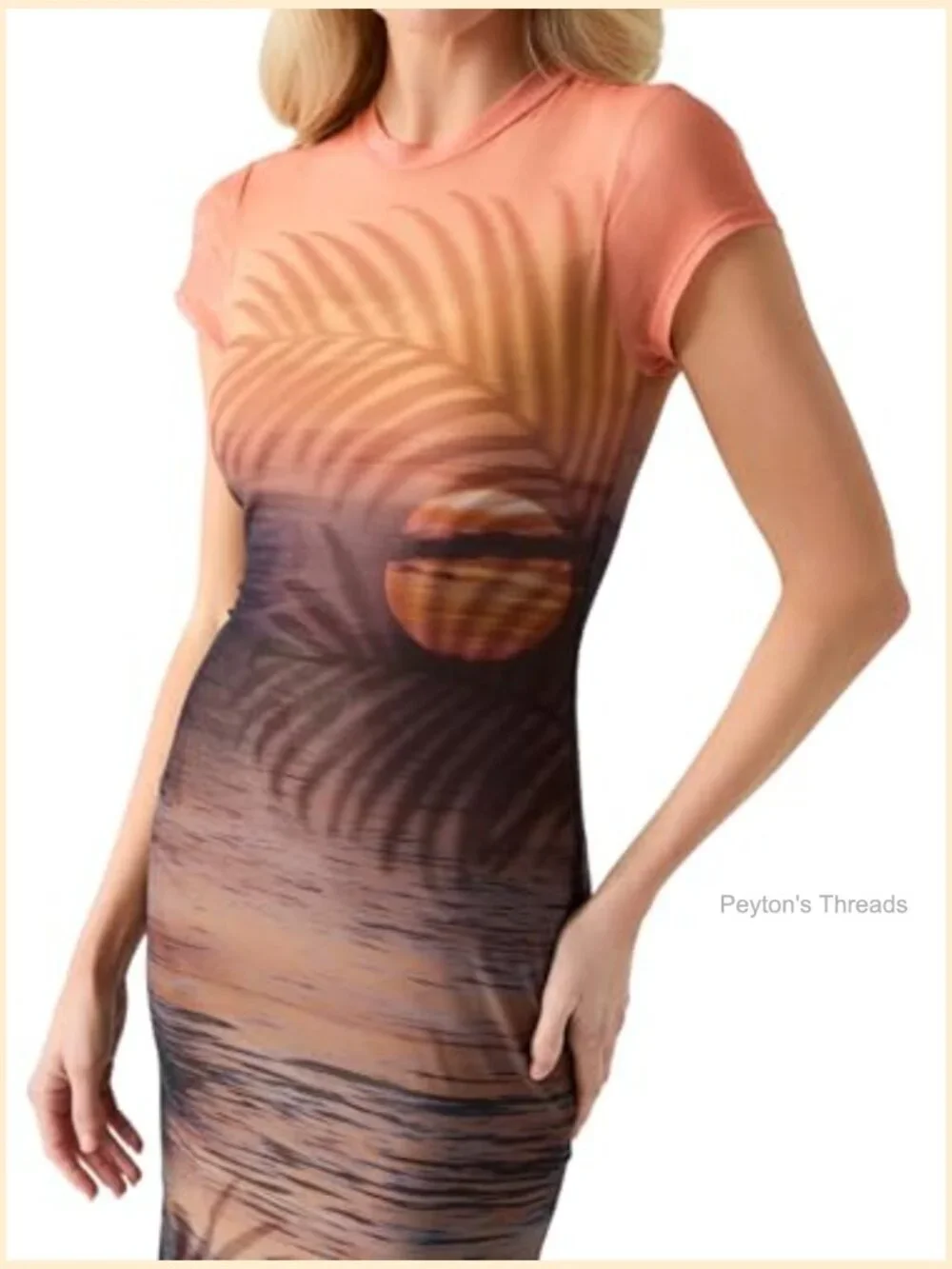 Eco Short Sleeve Beach Sunset Mesh Dress - Sheer Maxi Bodycon - Picture 2 of 4
